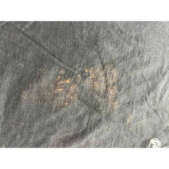 Danica Patrick Shirt Mens Large Black Chase NASCAR JR Motorsports Go Daddy - Picture 2 of 7